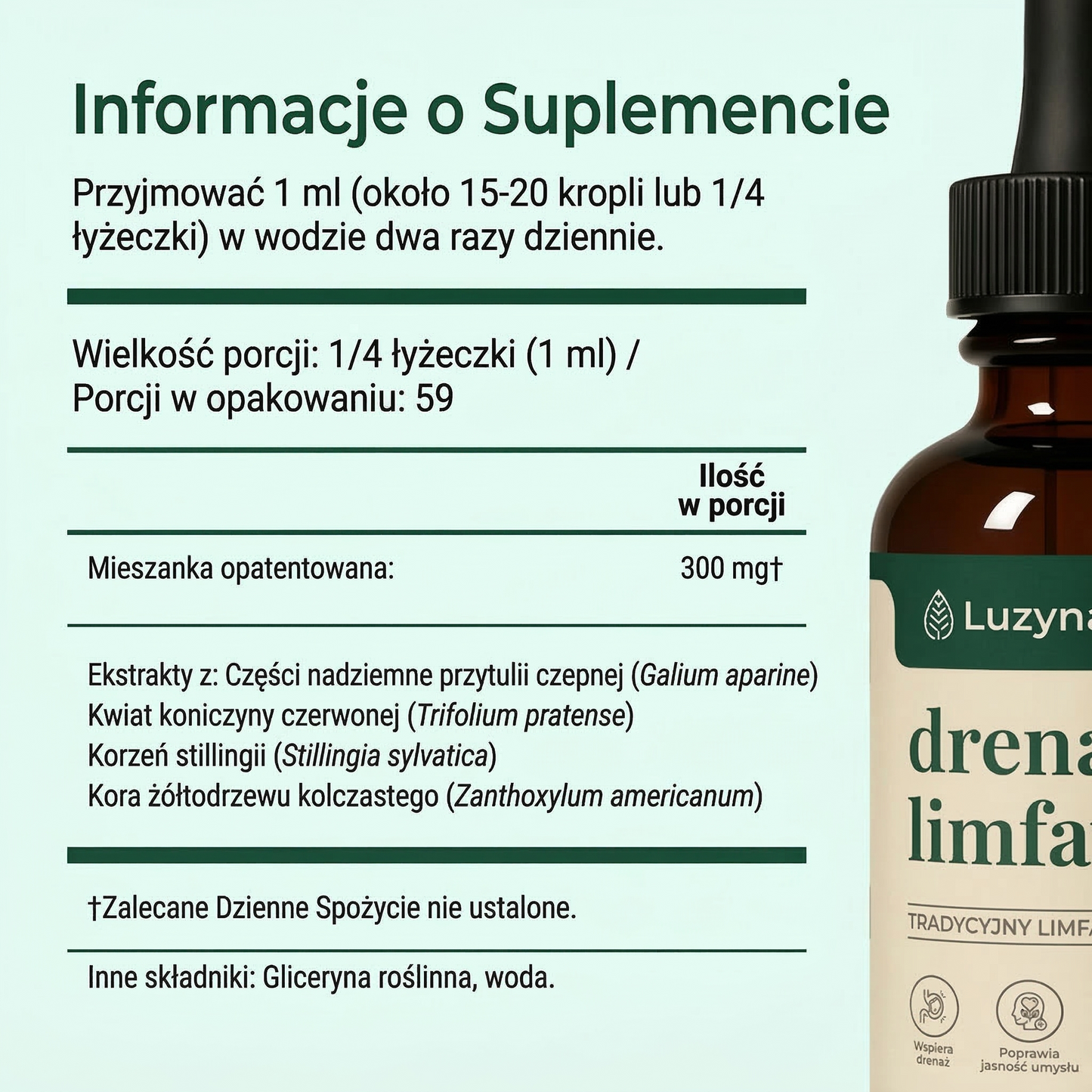 Luzyna – Drenaje linfático