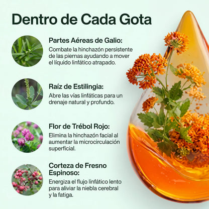 Drenaje linfático líquido