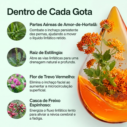 Drenaje Linfático Líquido